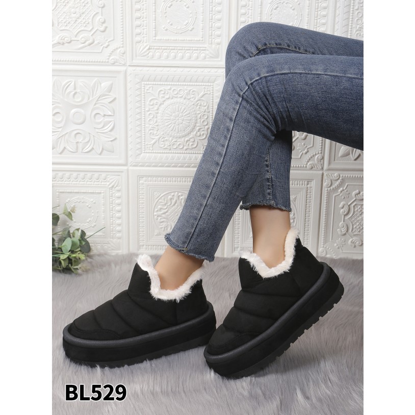 BL529